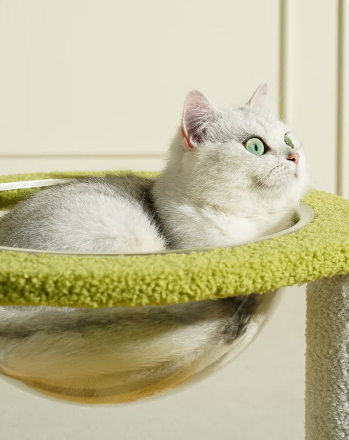 梵都宠舍猫爬架