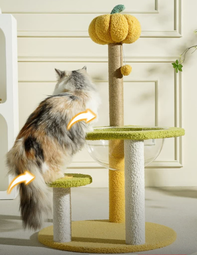梵都宠舍猫爬架