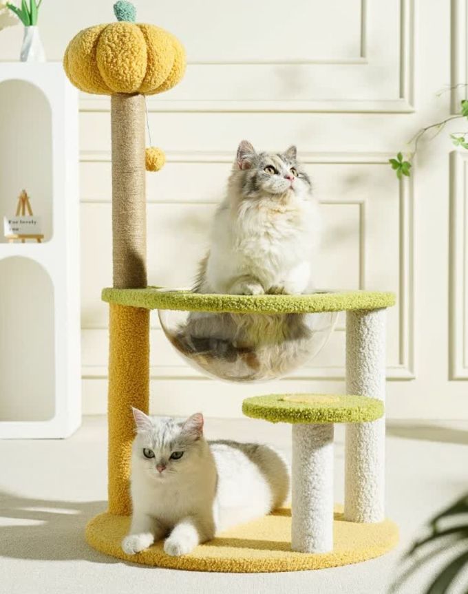 梵都宠舍猫爬架