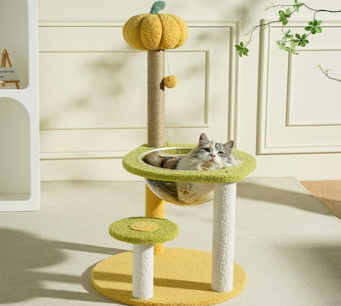 梵都宠舍猫爬架
