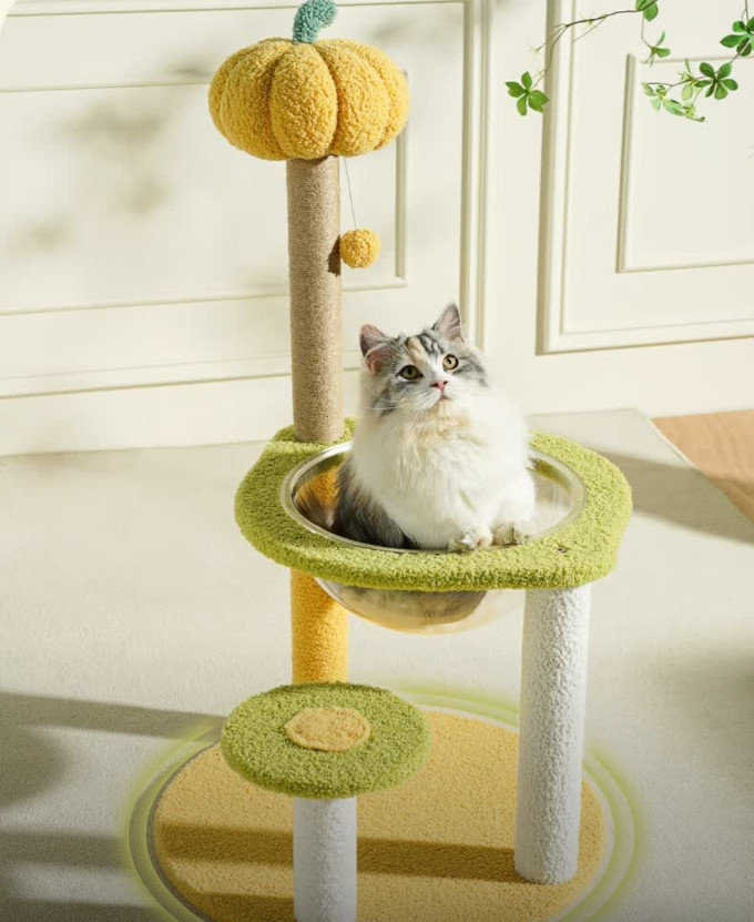 梵都宠舍猫爬架