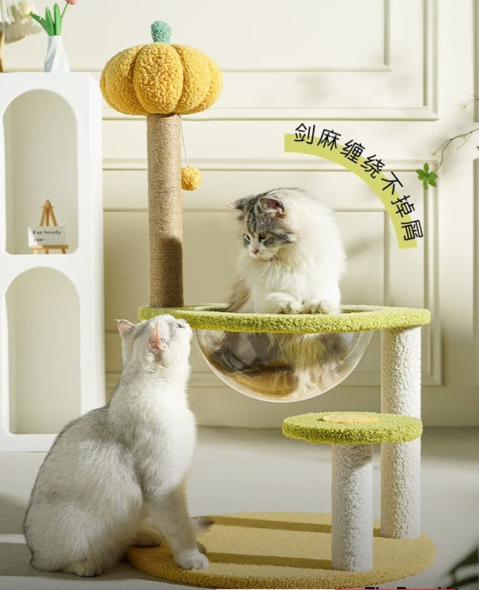 梵都宠舍猫爬架