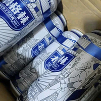 雪花啤酒（Snowbeer）布鲁格林经典比利时风味白啤 全麦芽 500ml*24听