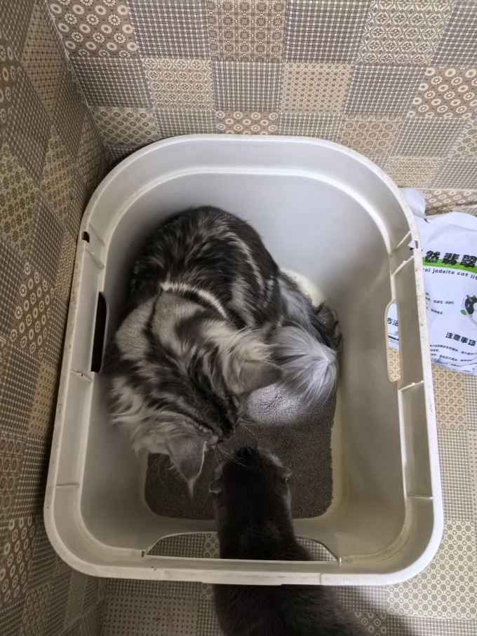 奥莉特猫砂