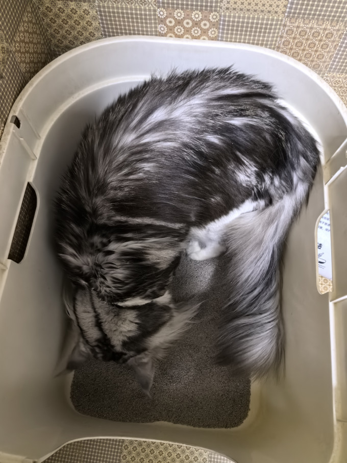 奥莉特猫砂