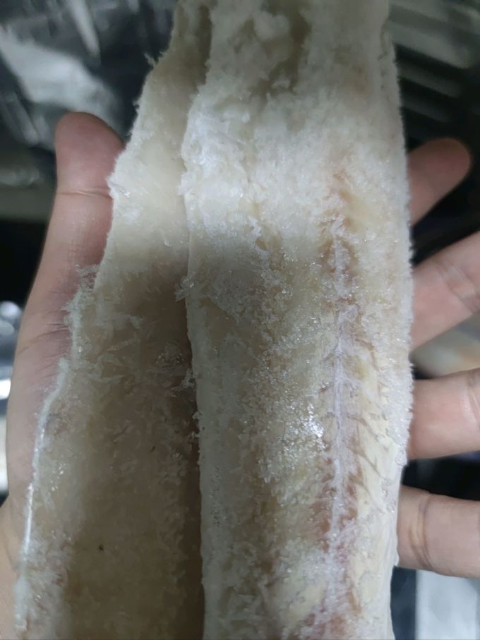我爱渔鱼类