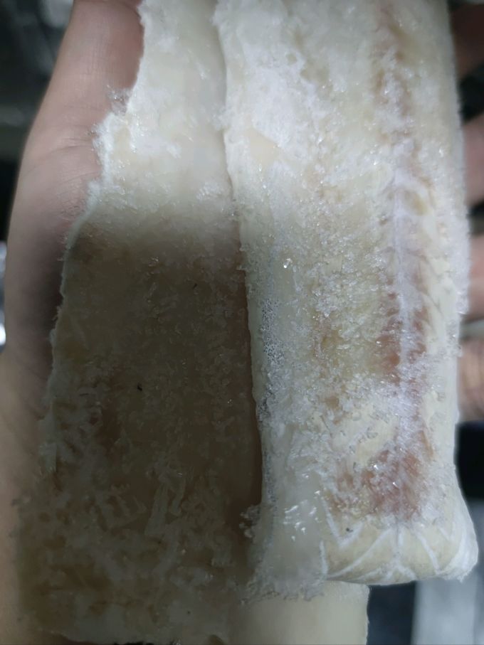 我爱渔鱼类