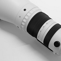 不到4万元！适马300-600mm F4生态拍摄体验