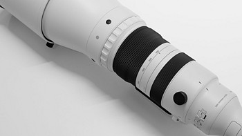 不到4万元！适马300-600mm F4生态拍摄体验