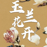 春日赏玉兰：江南古韵中的花语诗篇