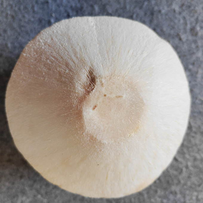 佳农其他水果