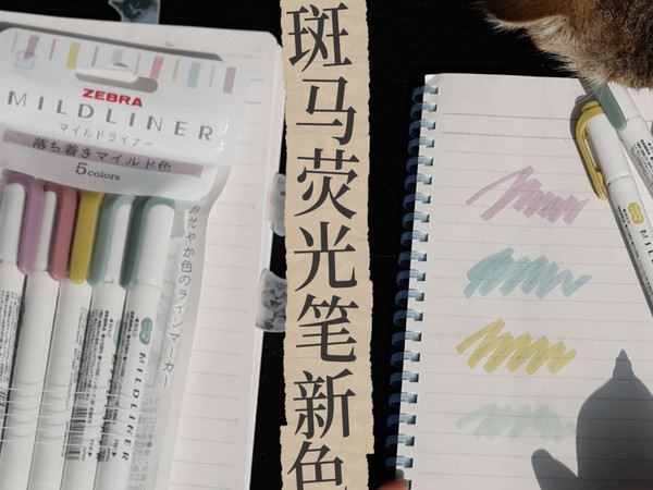 斑马荧光笔新色试色！平静柔和的烟熏色？