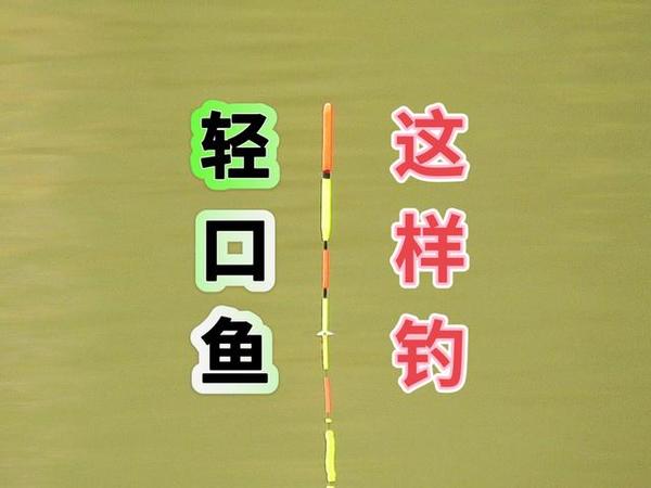 思路清晰，浮漂全程没有一个多余动作，厉害！ #钓鱼#调漂技巧