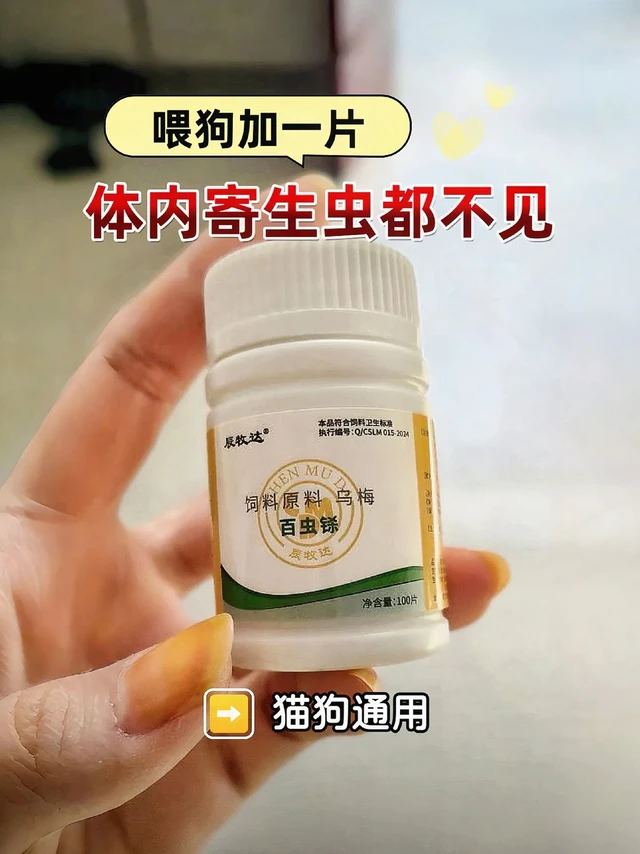 养宠好物百虫杀猫狗通用好用实惠。崩溃！寄生虫差点把我家毛孩子掏空😭
 
家人们，今天必须给你们分享一个超恐怖的事儿！我家毛孩子最近老是没精神，还一直挠痒痒，我以为只是换季有点小过敏，结果带它去体检，直