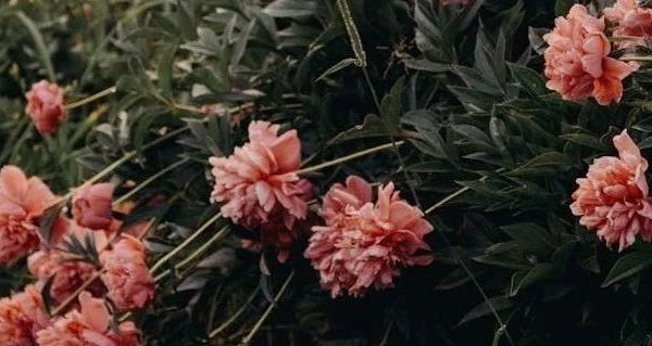 冬季出行必备：男士雪地靴选购指南