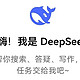 创新者联盟：DeepSeek王炸组合启示录