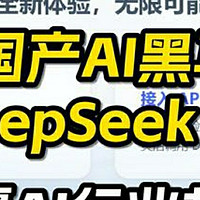 Deepseek王炸组合：科技与生活的交响曲🎵