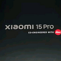 小米15 Pro 岩石灰版：12GB+256GB，性能与美学的完美融合