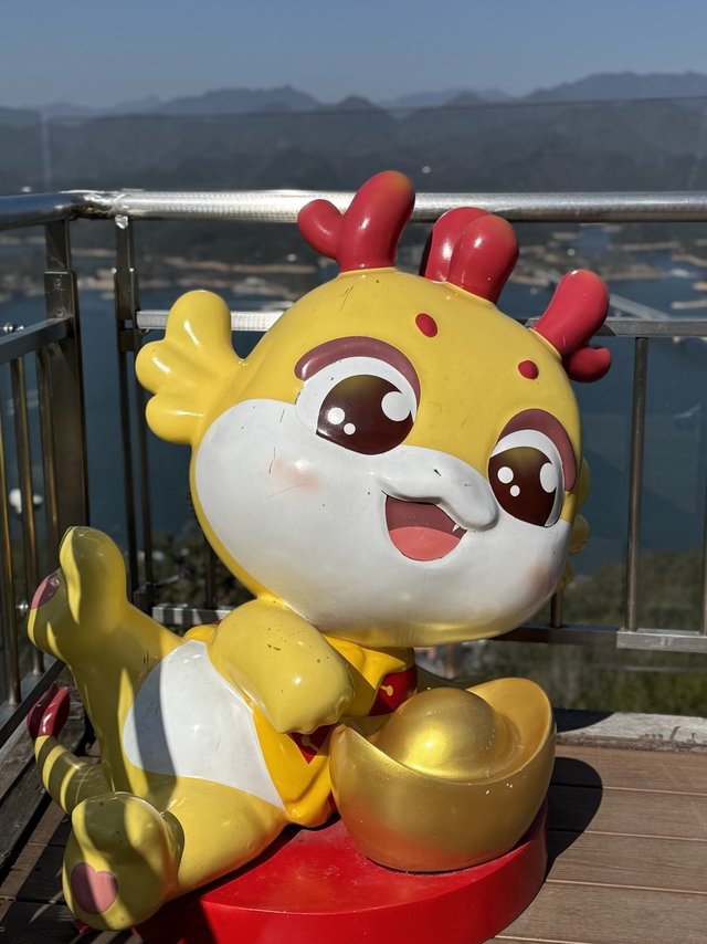 中宁青海头茬枸杞子，高性价比之选？