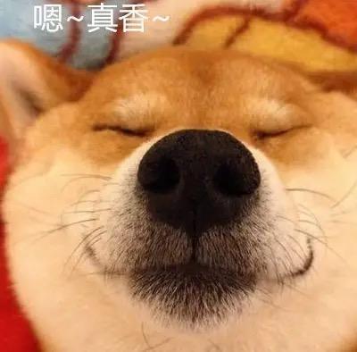 哪些知名品牌的香水味道非常好闻？