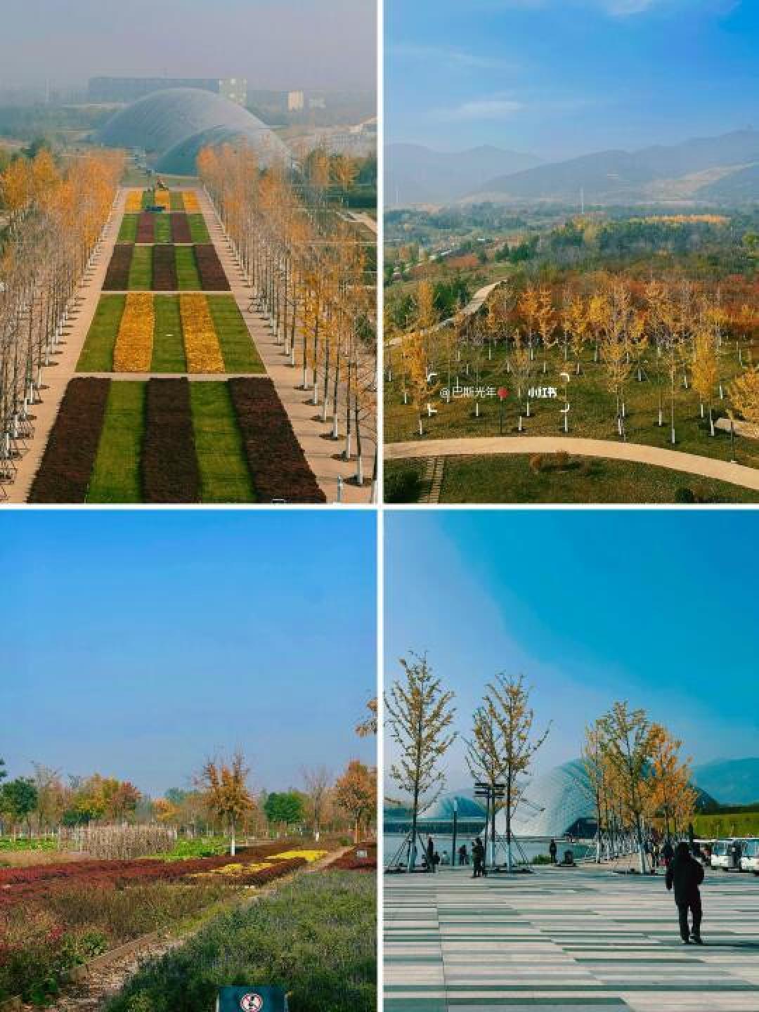 曾黎打卡太原植物园，探索网红星空电梯和三大特色温室