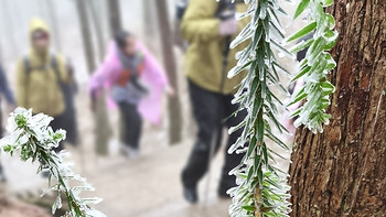 🏔️登山能量补给包，这些美食让你元气满满！