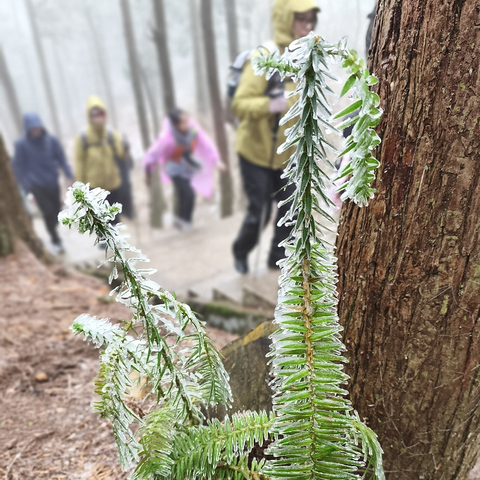 🏔️登山能量补给包，这些美食让你元气满满！