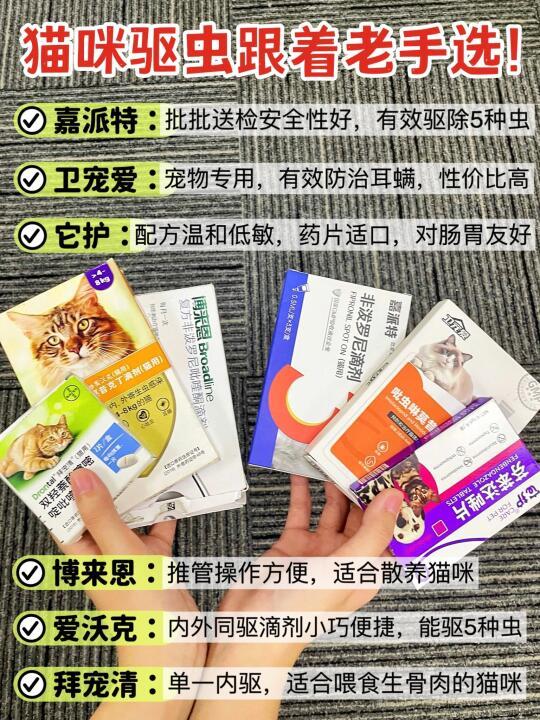 养猫老手分享！猫咪驱虫选对才是硬道理
