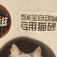 十年老铲屎官-懒人猫砂怎么选