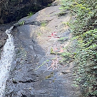 爬爬小山采采野味