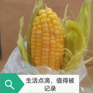 大自然的“黄金棒”，口感脆嫩让你停不下来！