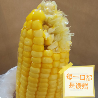 大自然的“黄金棒”，口感脆嫩让你停不下来！