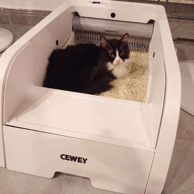 养猫多年，换了 N 个猫砂盆，这款 CEWEY C9凭啥让我疯狂心动？