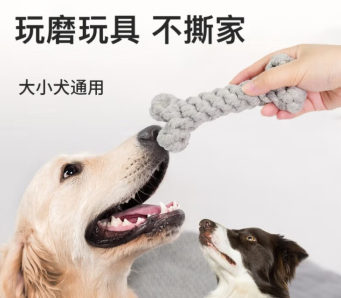憨憨乐园狗飞盘
