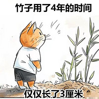 致，正在拼搏的你我