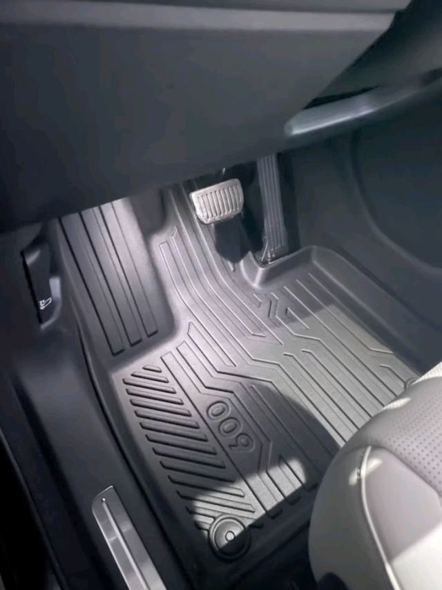 赞旅极氪009专用脚垫 —— 定制级舒适，环保TPE，全天候守护