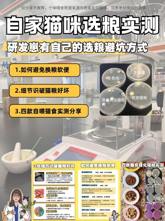 宠物行业老司机の猫食物挑选指南