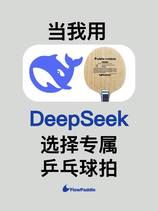 原来deepseek真能给不同的人挑选专属球拍🏓