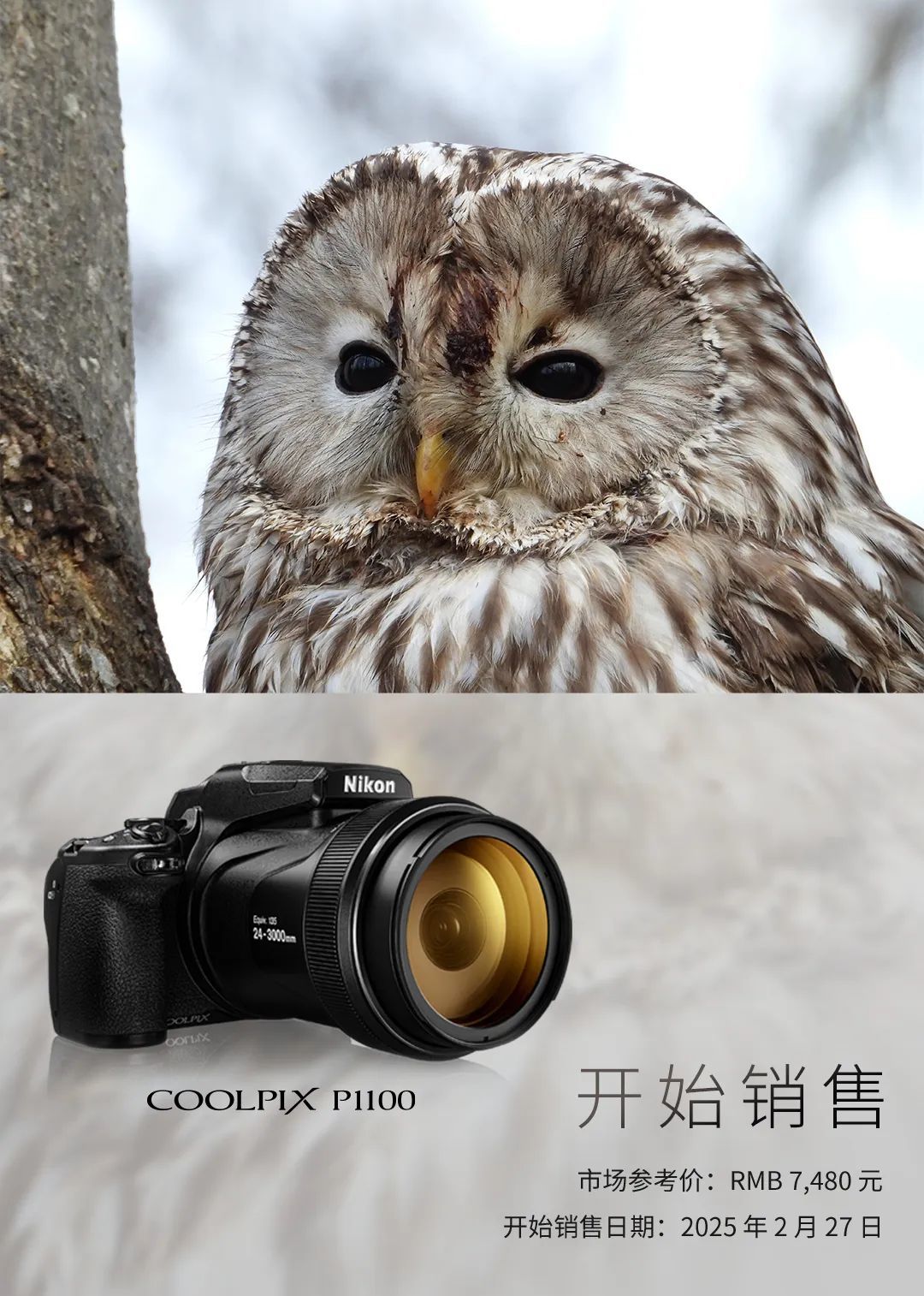 售价7480元!尼康COOLPIX P1100今日上市