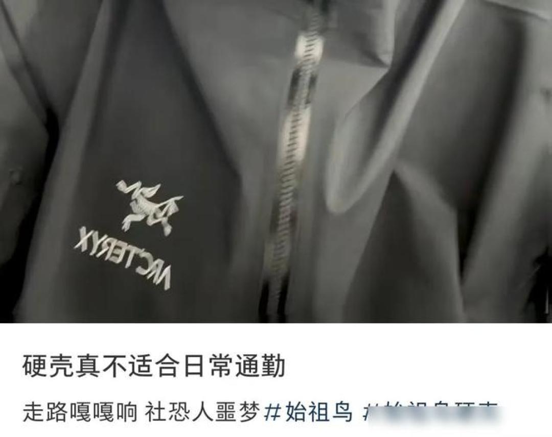 REI海淘始祖鸟攻略：避免坑点，掌握全流程秘技