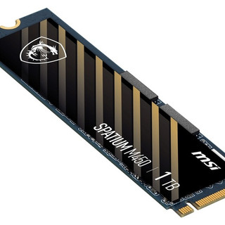 微星发布新款 SPATIUM M450 V1 SSD 固态硬盘，有升有降