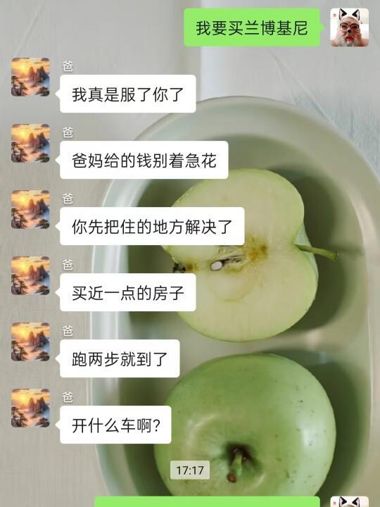 我爸非要给我买兰博基尼