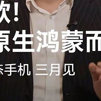 华为三月底即将发布的新形态手机会是什么样子的呢？