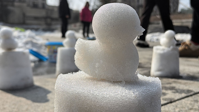 抓住雪季小尾巴，带娃捏鸭子