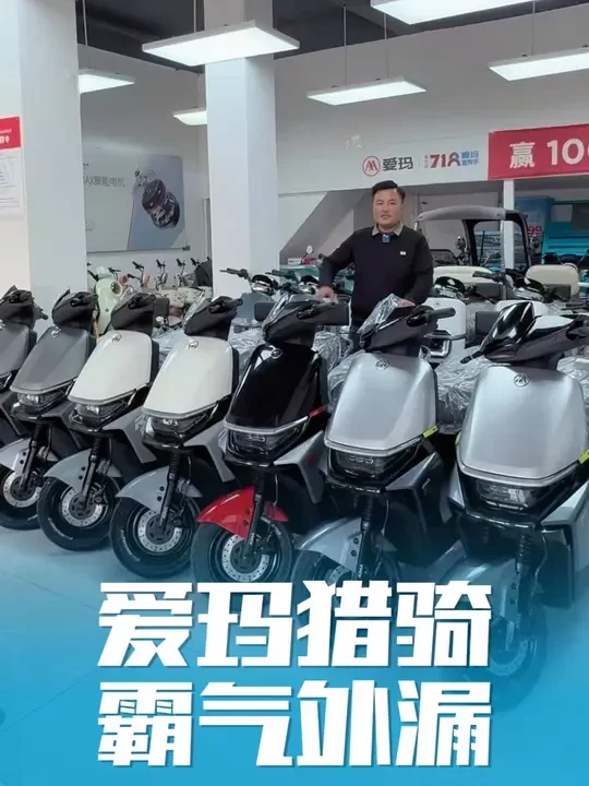 爱玛猎骑，前后双碟刹，手机互联，战斗前脸，霸气十足。#爱玛电动车