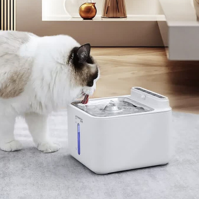 小甜橙无线猫咪饮水机，宠物喝水新体验！