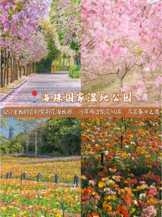 匠心绽放鲜花速递