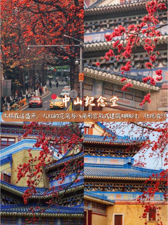 匠心绽放鲜花速递