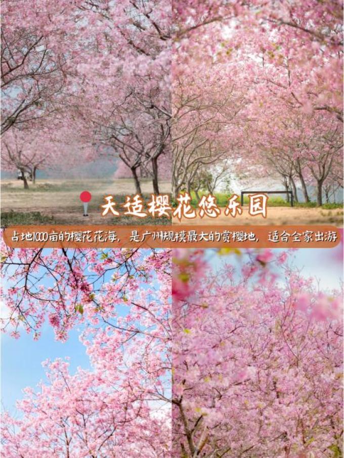 匠心绽放鲜花速递