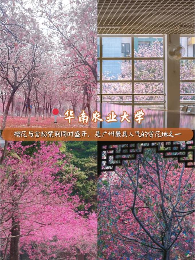 匠心绽放鲜花速递